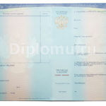 приложение к дилпому спо 2014-2024